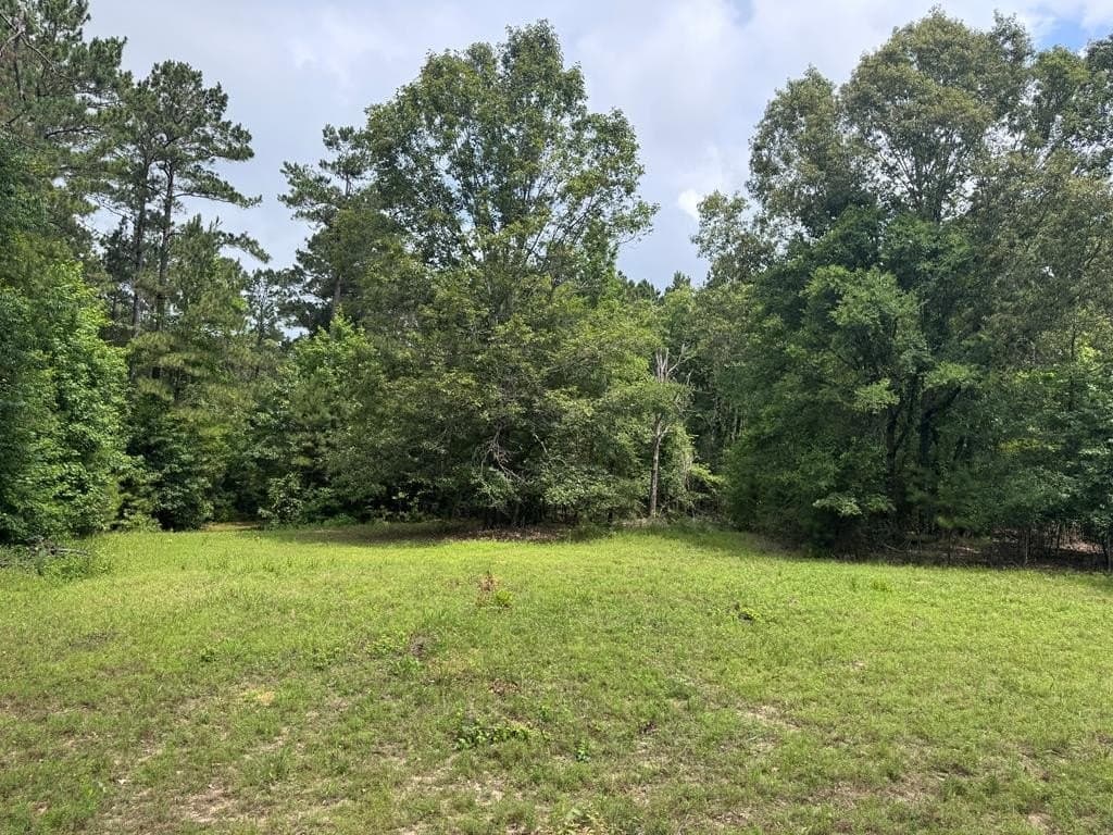 104.79 acres in CHEROKEE County - photo 15