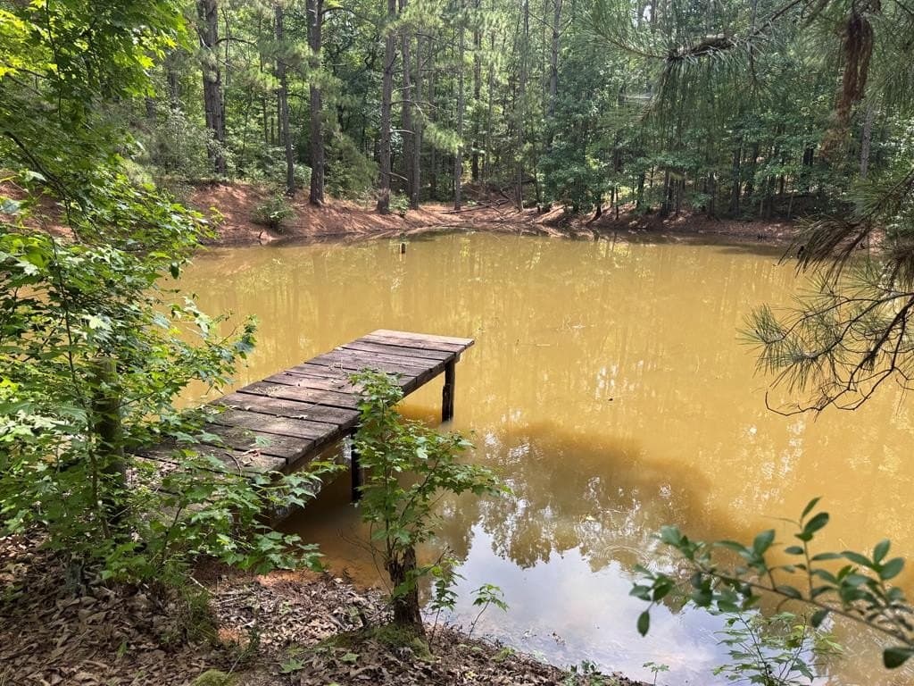104.79 acres in CHEROKEE County - photo 10