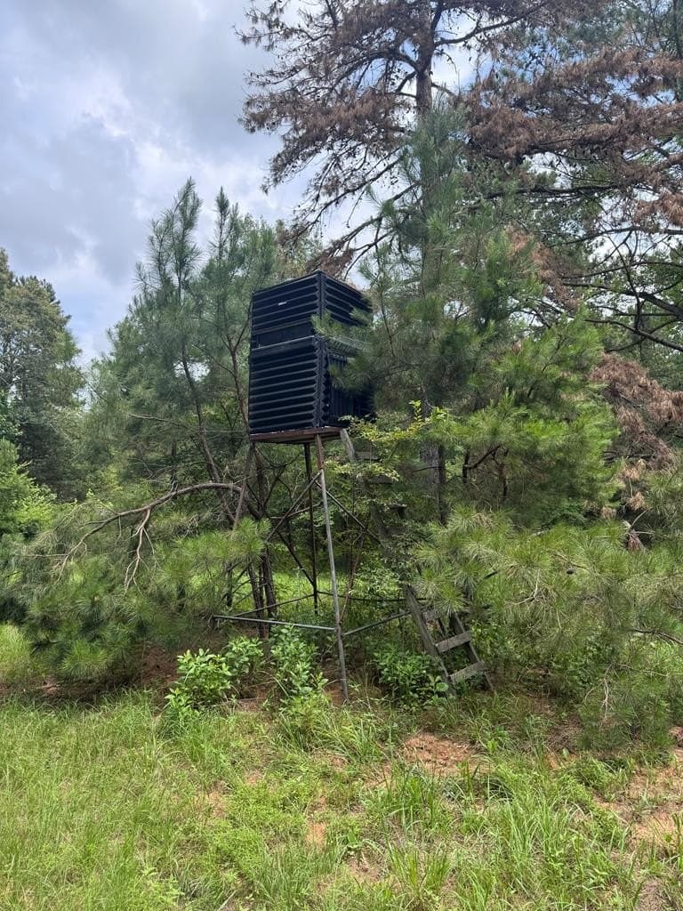 104.79 acres in CHEROKEE County gallery image 4