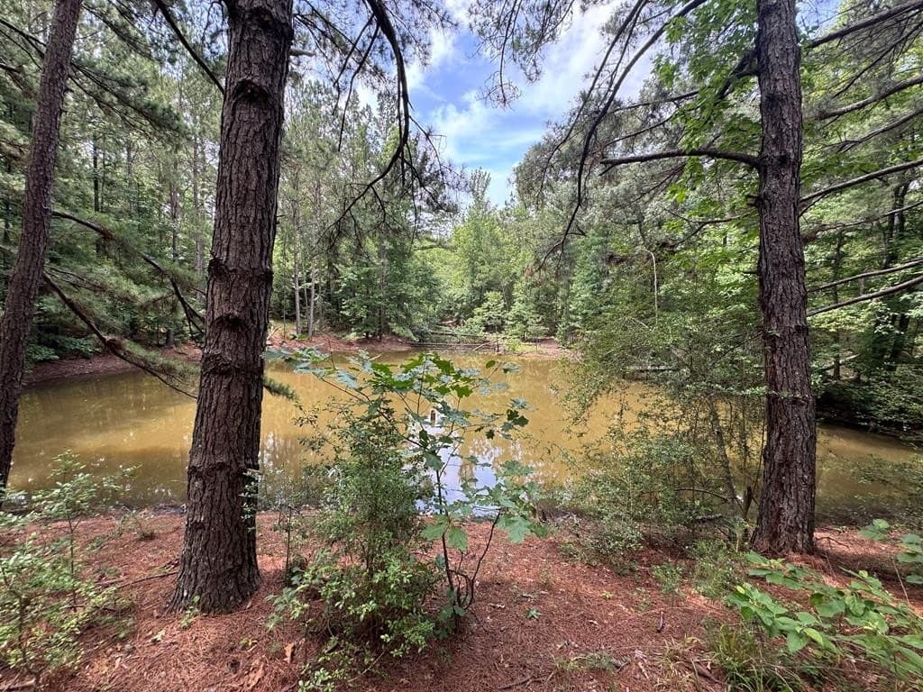 104.79 acres in CHEROKEE County - photo 7