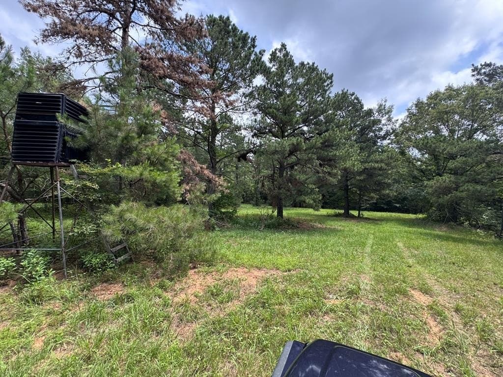 104.79 acres in CHEROKEE County featured view