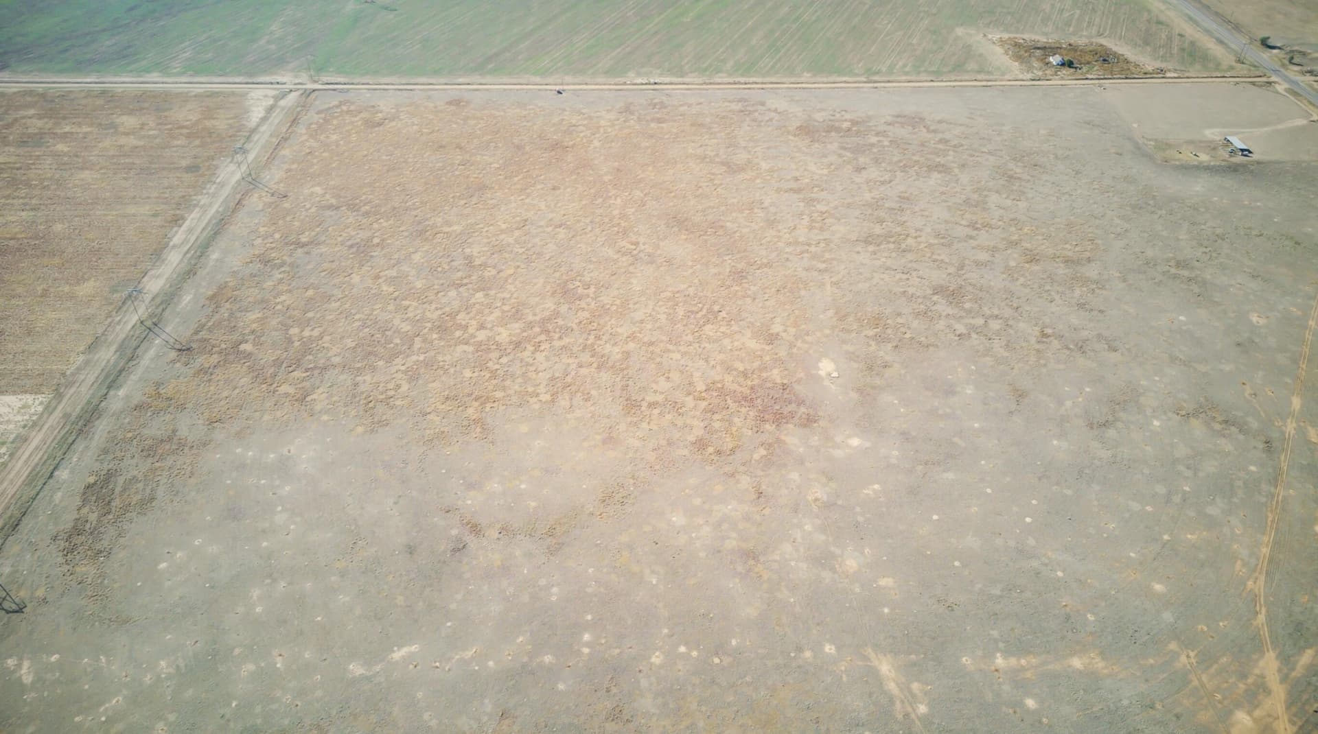34.34 acres in Hale County - photo 19