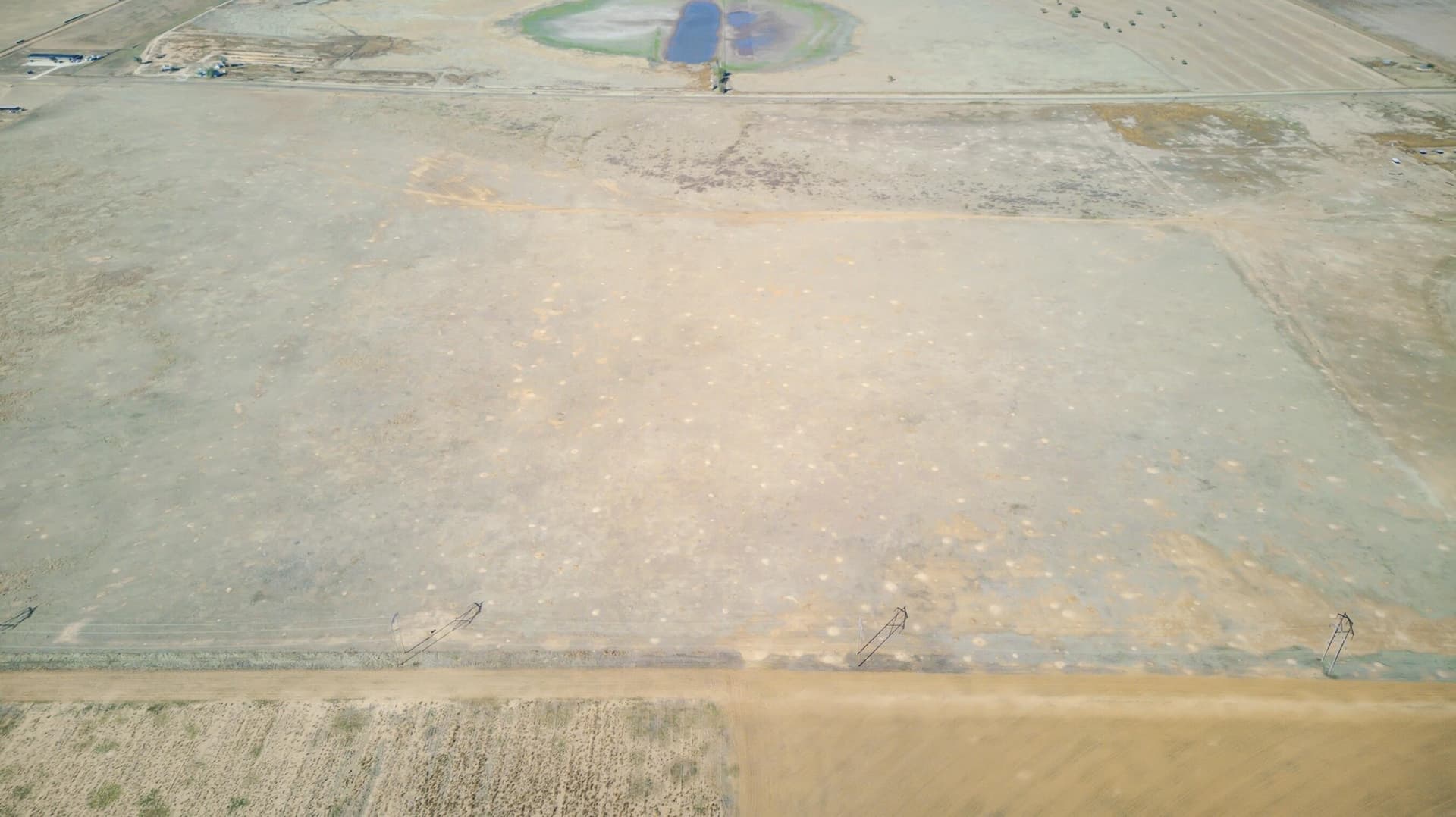 34.34 acres in Hale County gallery image 3