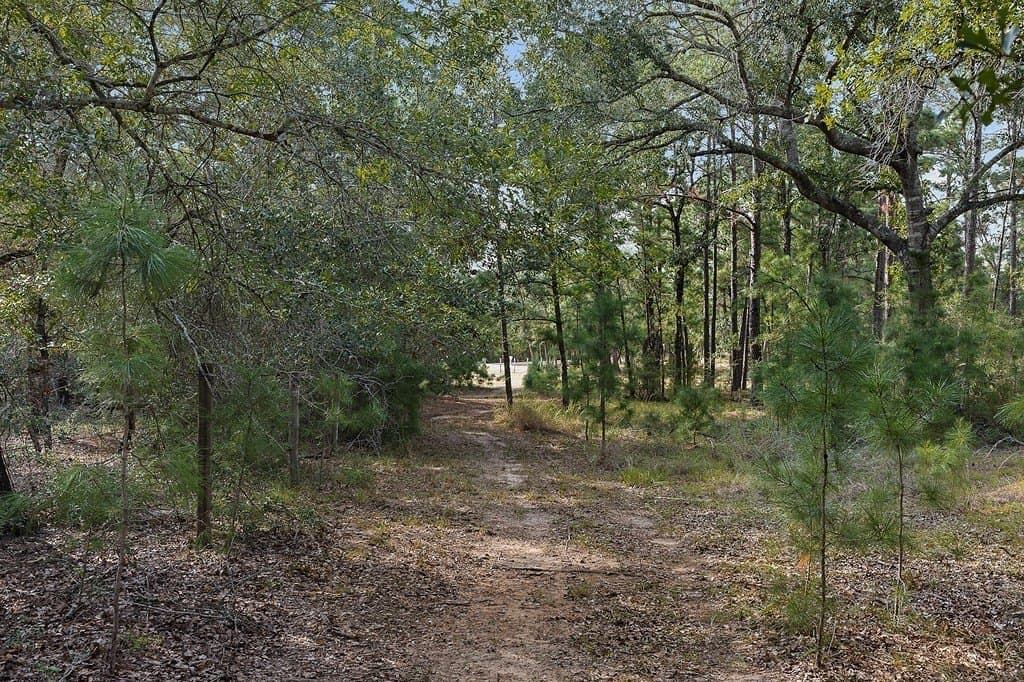 15 acres in Fayette County - photo 17