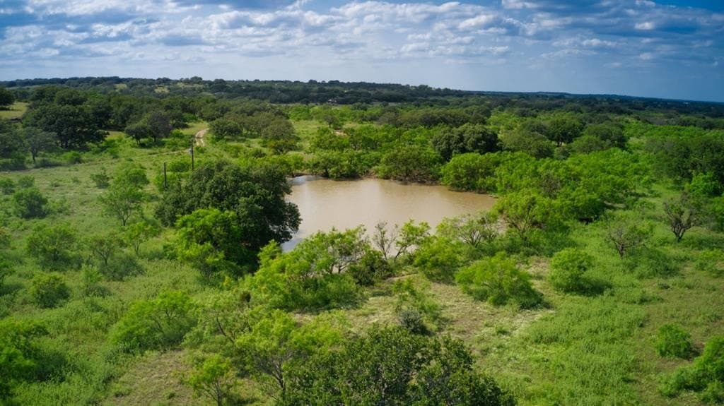 75 acres in Mason County