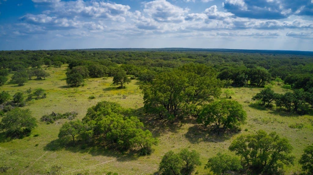 75 acres in Mason County - photo 7