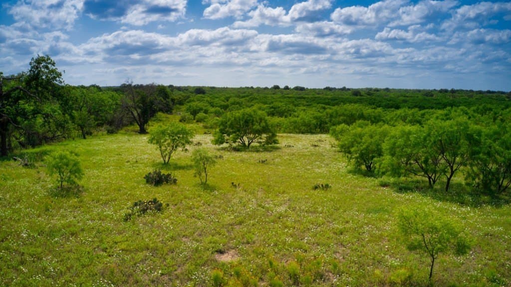 75 acres in Mason County - photo 8