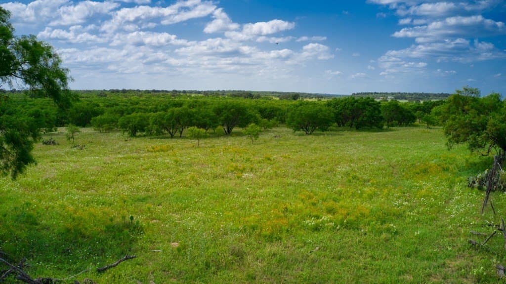 75 acres in Mason County - photo 5