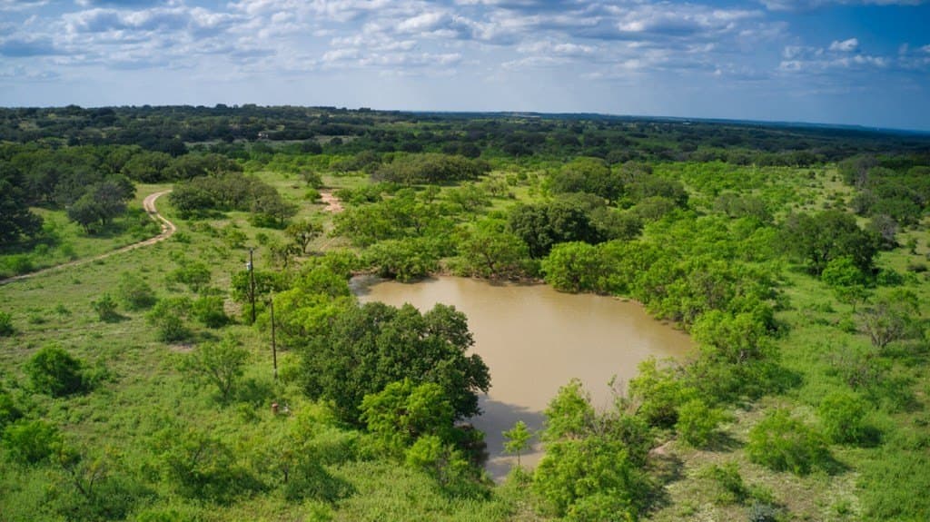 75 acres in Mason County - photo 6