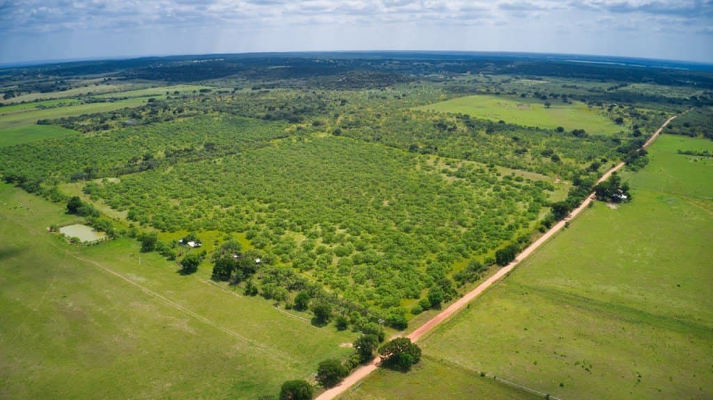 75 acres in Mason County - photo 3