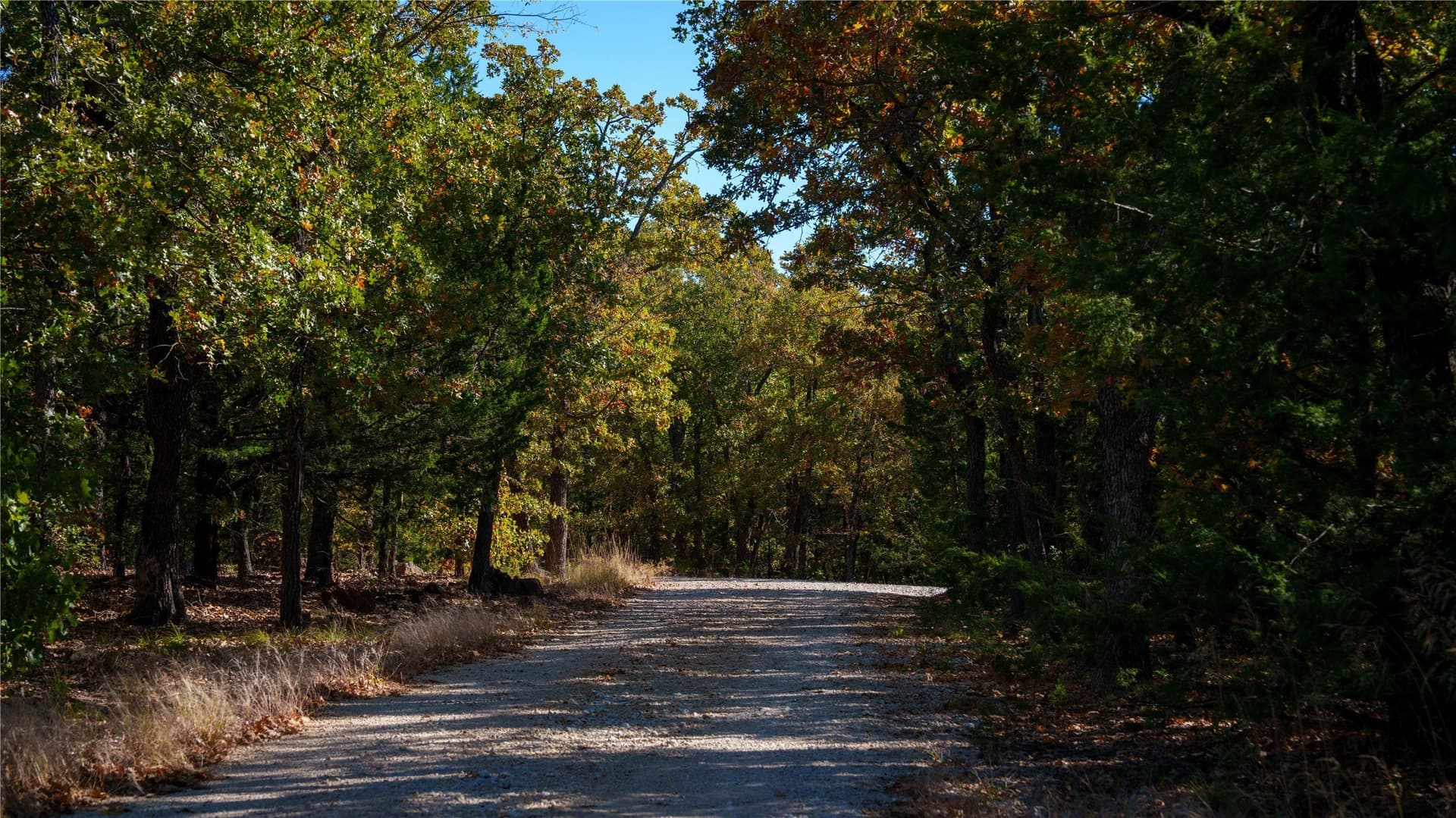 181 acres in Cooke County - photo 11