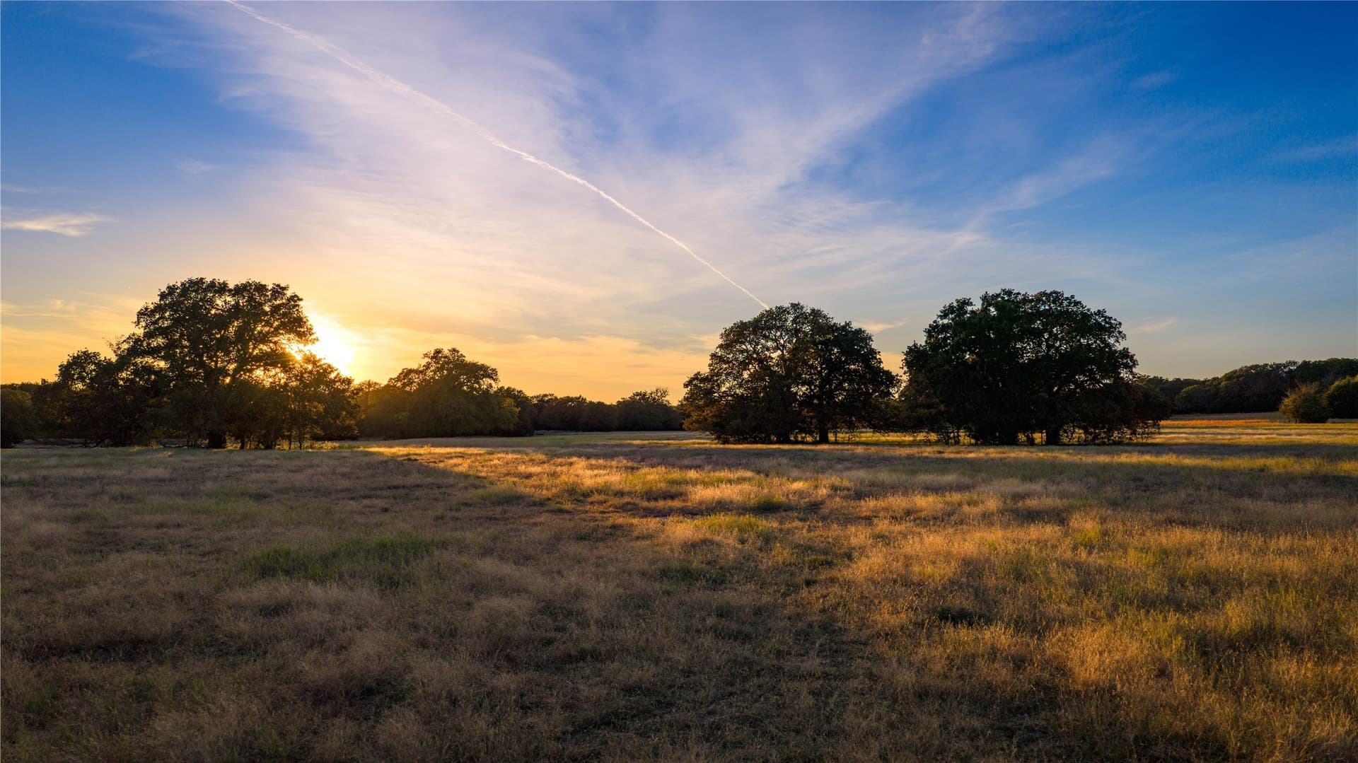 181 acres in Cooke County - photo 7