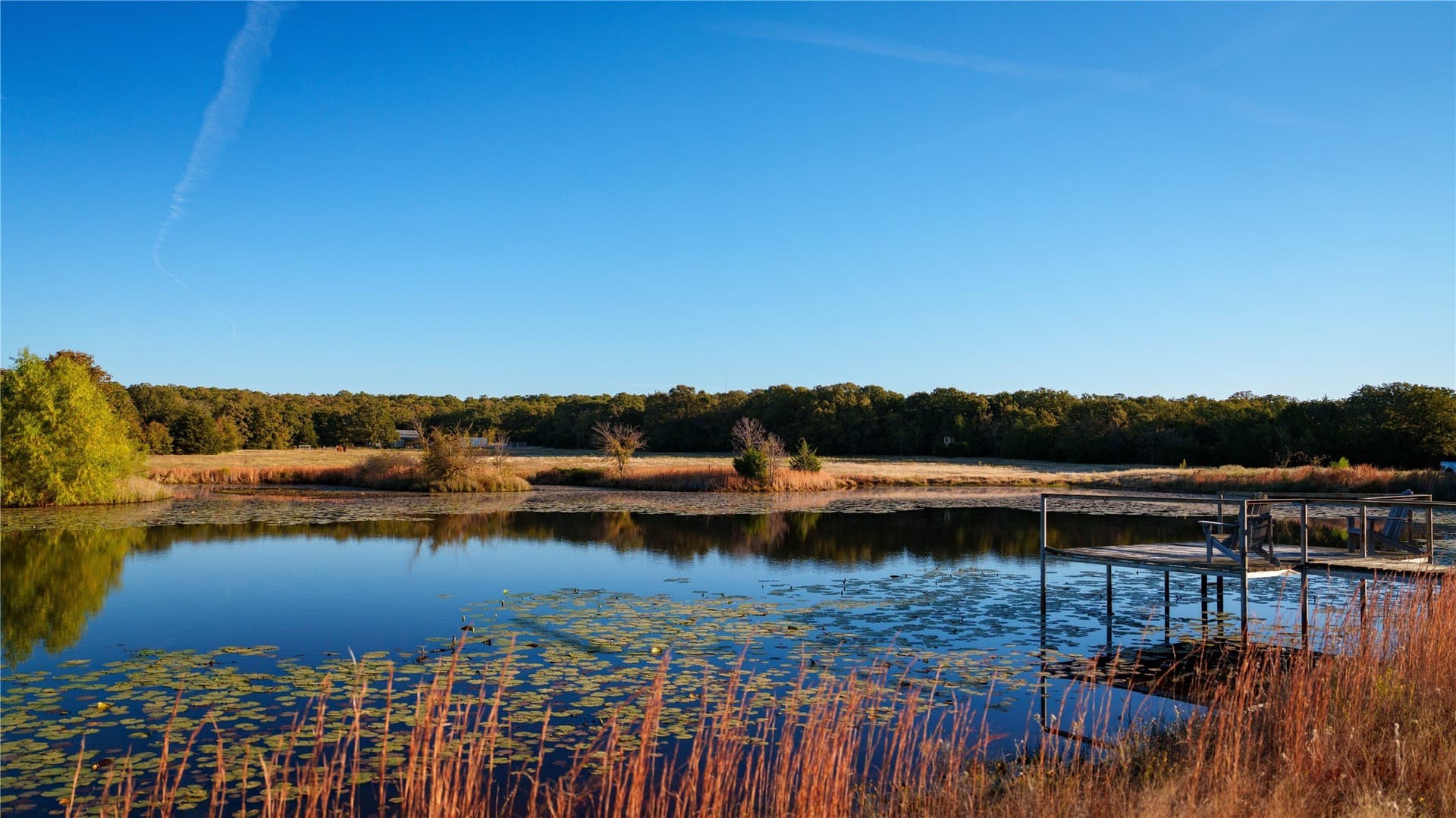 181 acres in Cooke County - photo 10