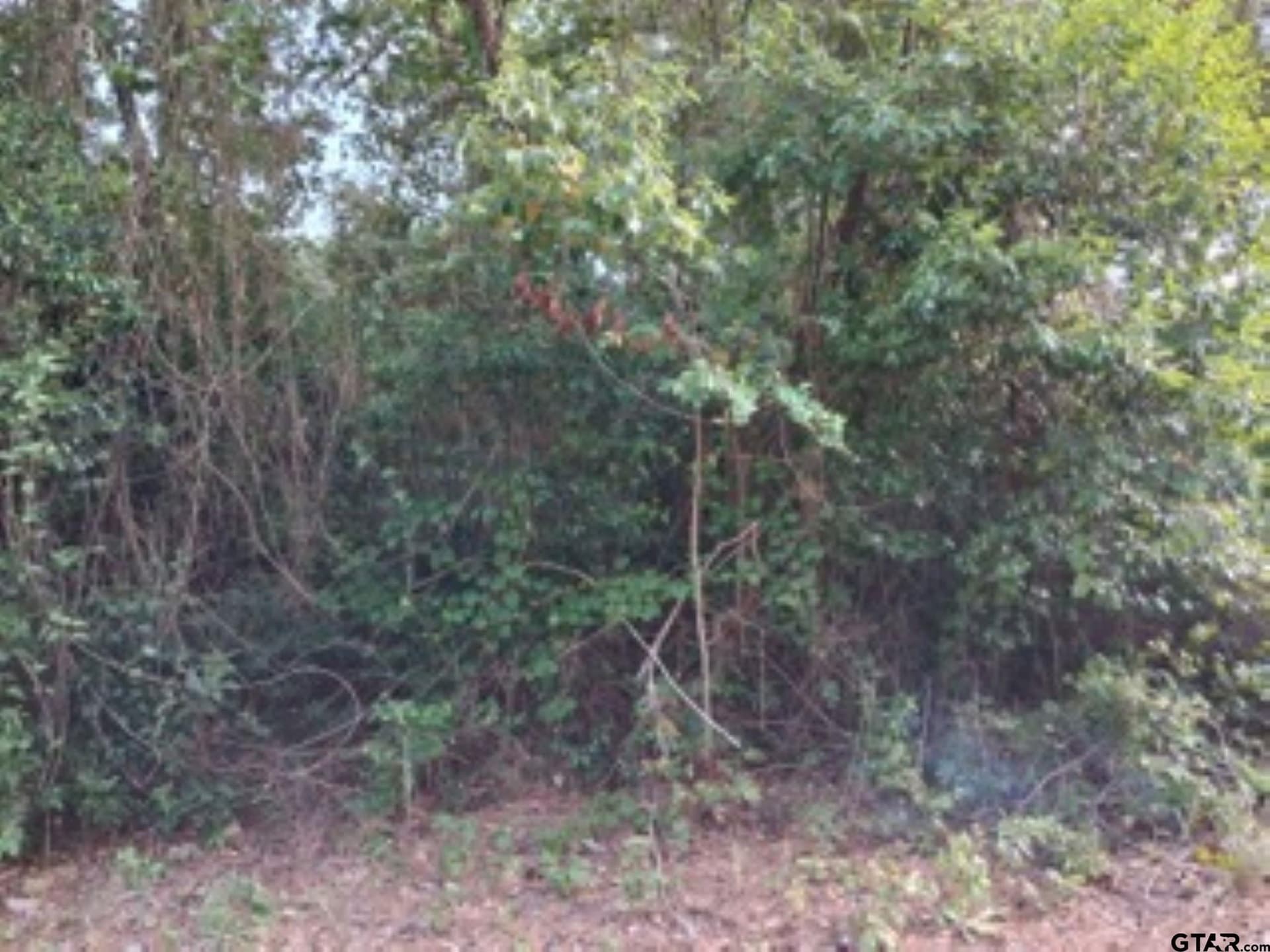 1.06 acres in Van Zandt County gallery image 3