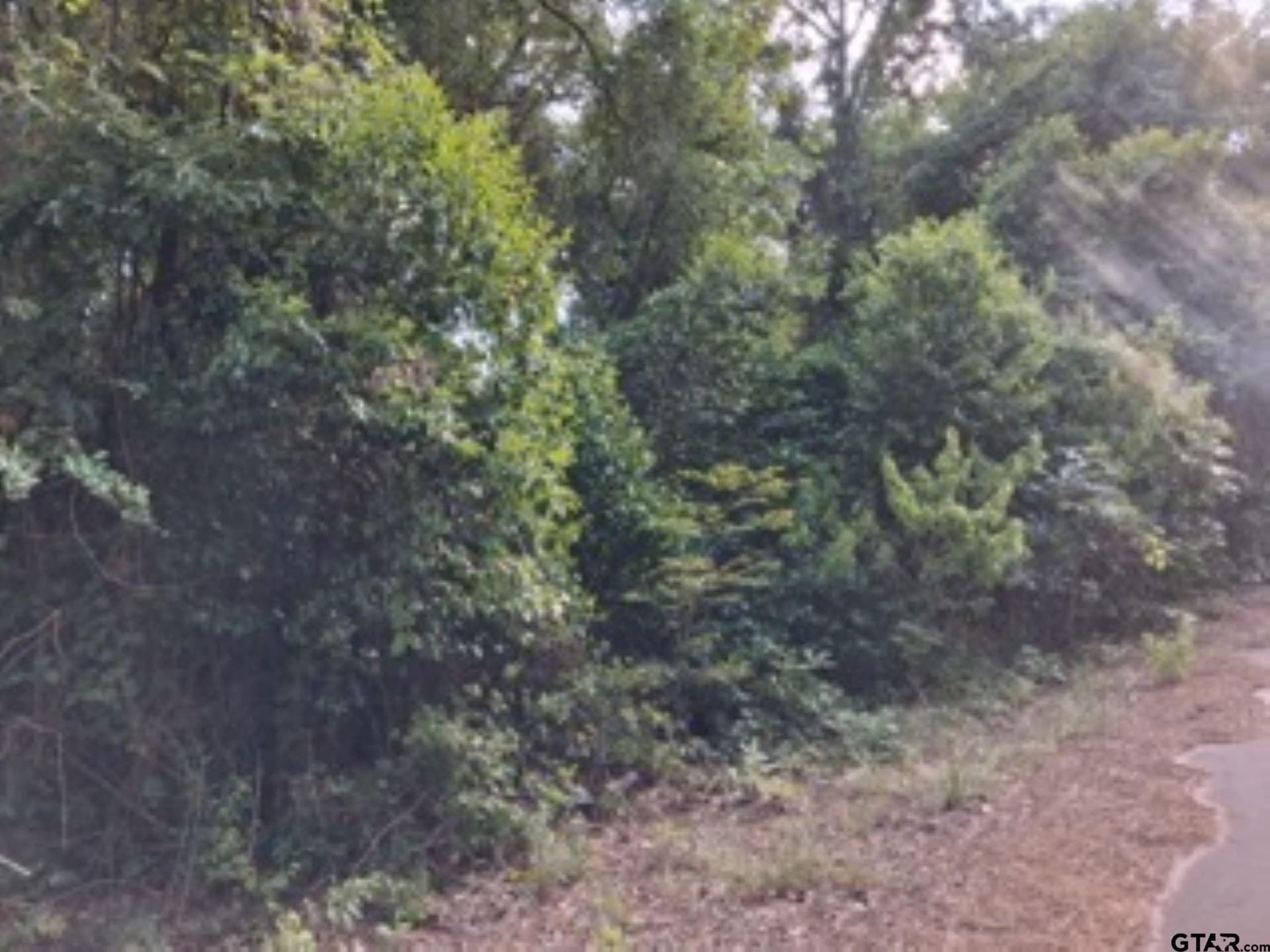 1.06 acres in Van Zandt County - photo 6