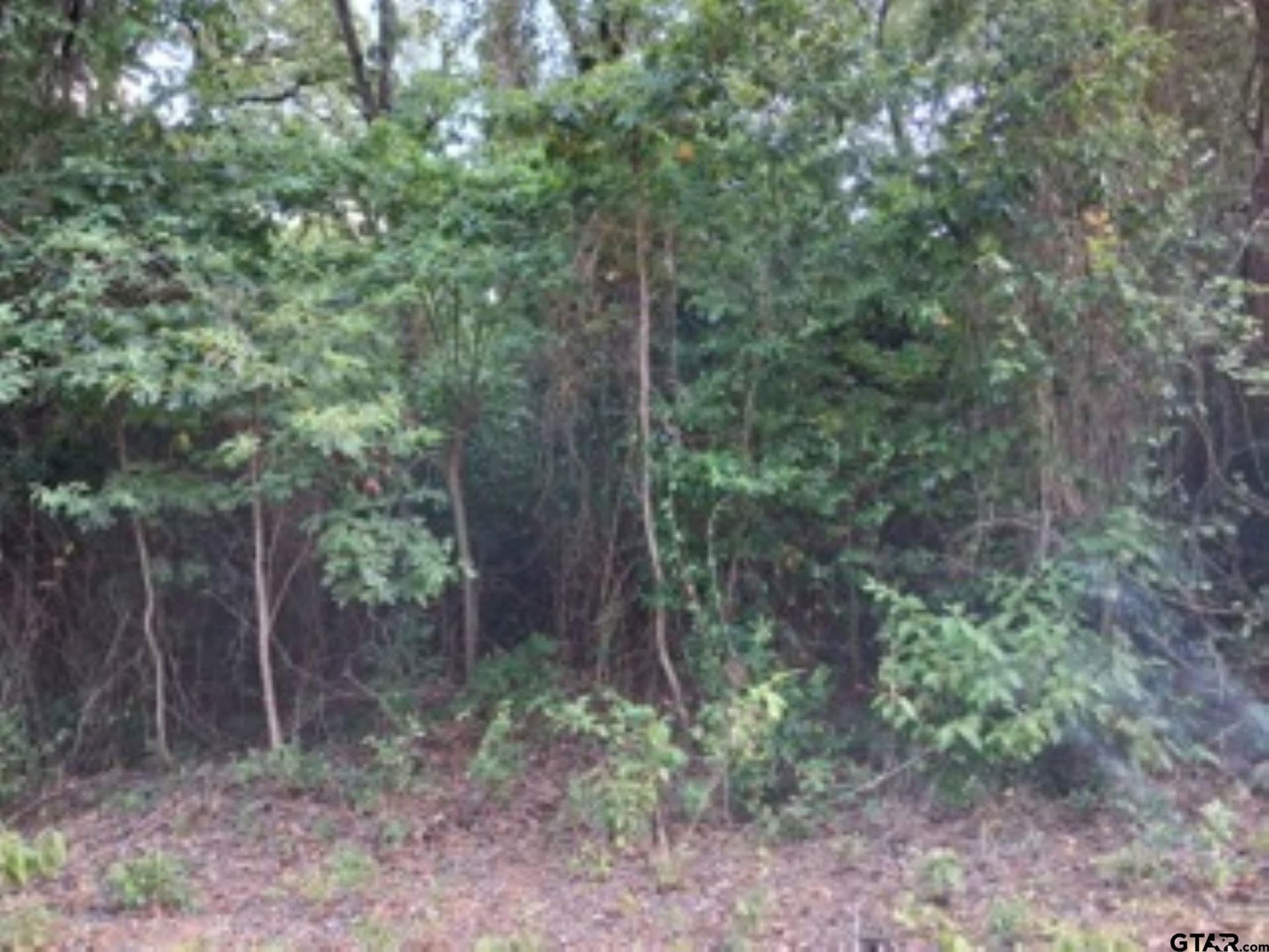 1.06 acres in Van Zandt County featured view
