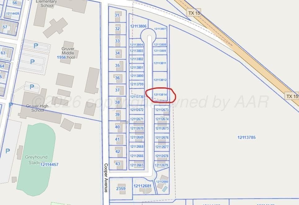 0.29 acres in Hansford County gallery image 2