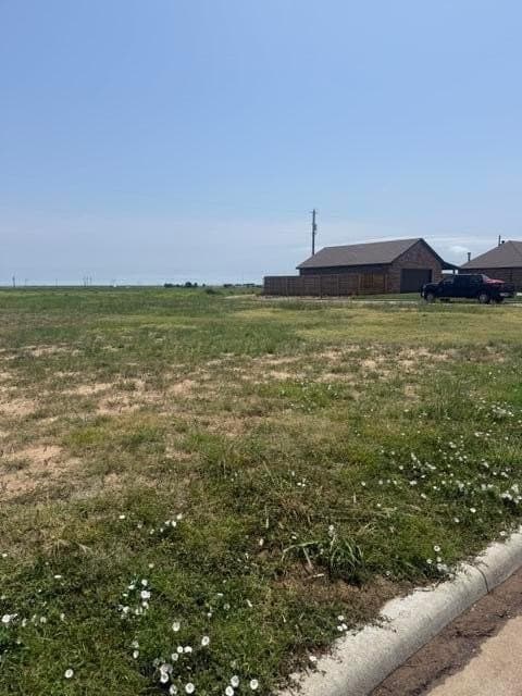 0.29 acres in Hansford County gallery image 3