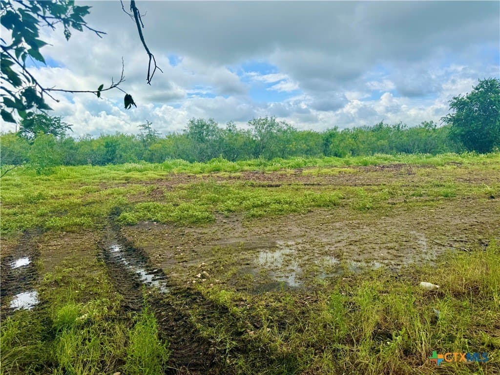 1.28 acres in Hays County - photo 6
