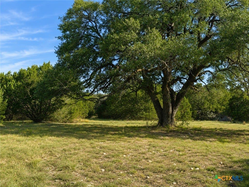 20 acres in Burnet County gallery image 2