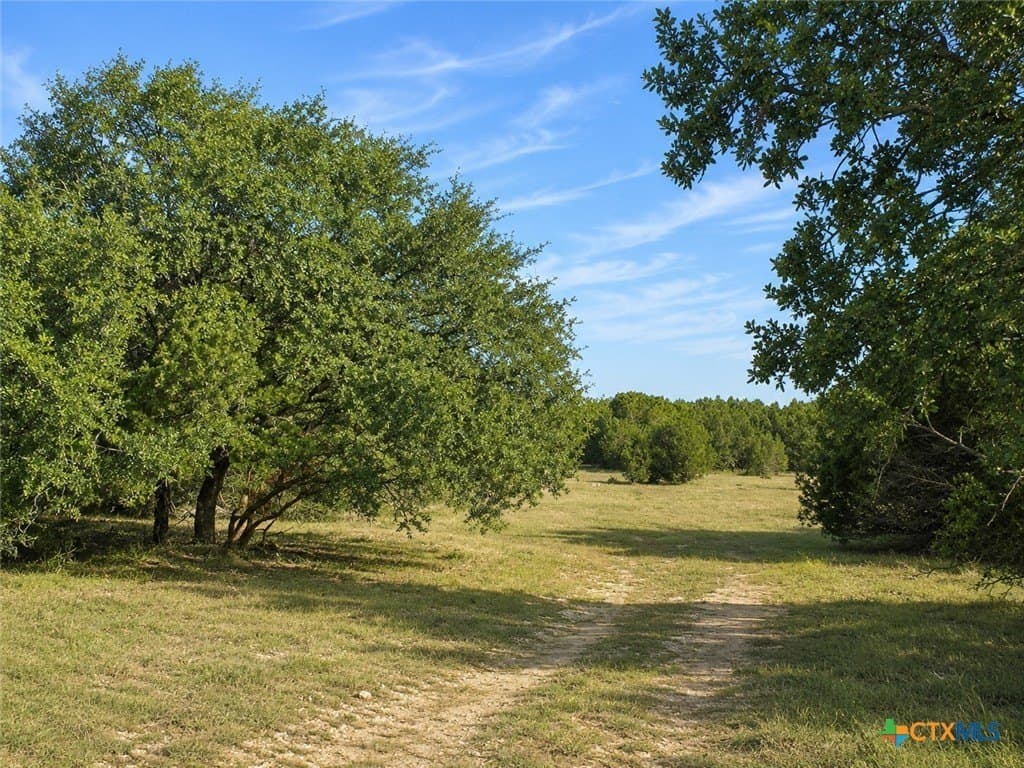 20 acres in Burnet County - photo 17