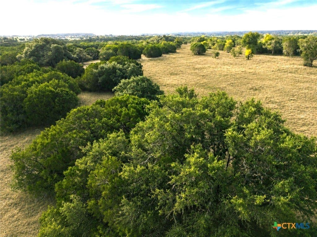 20 acres in Burnet County - photo 10