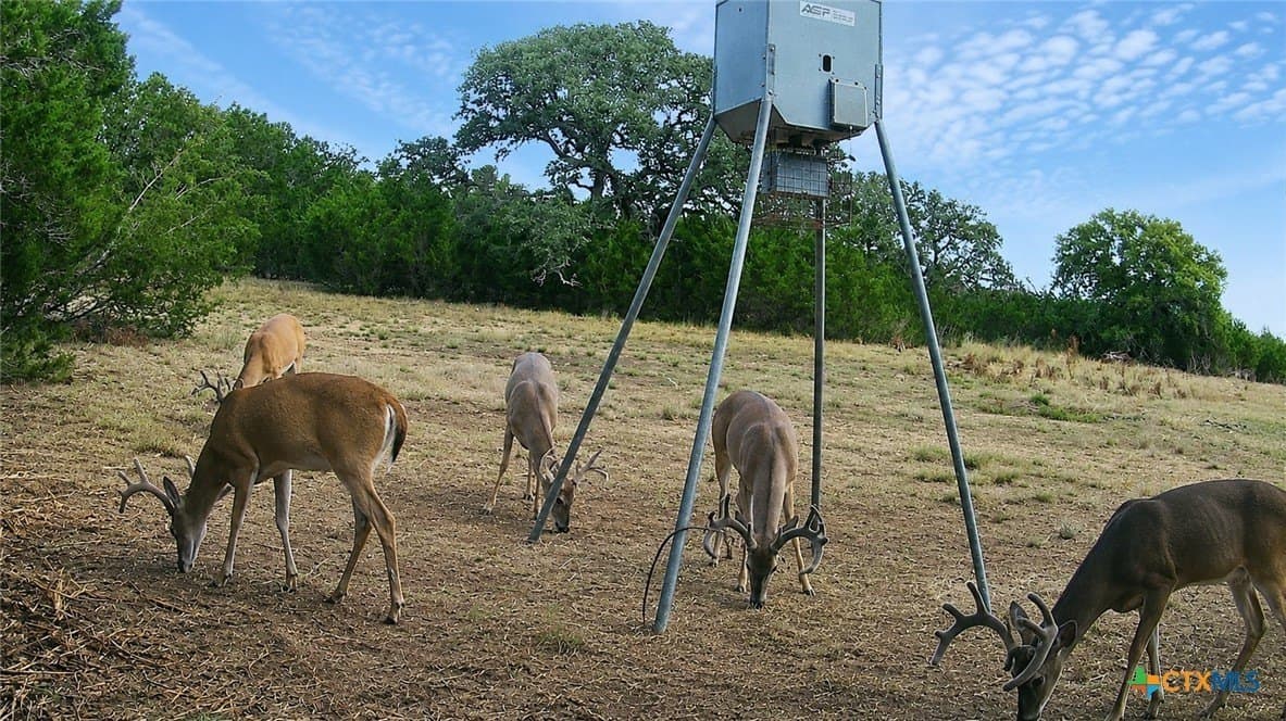 20 acres in Burnet County - photo 20