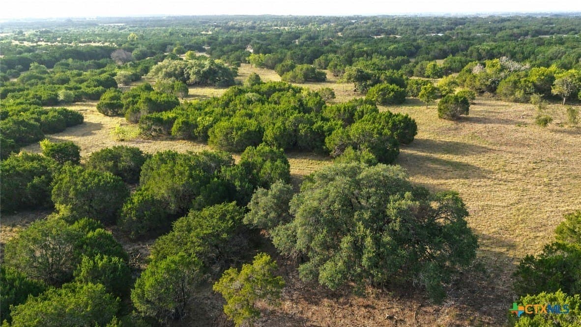 20 acres in Burnet County - photo 12