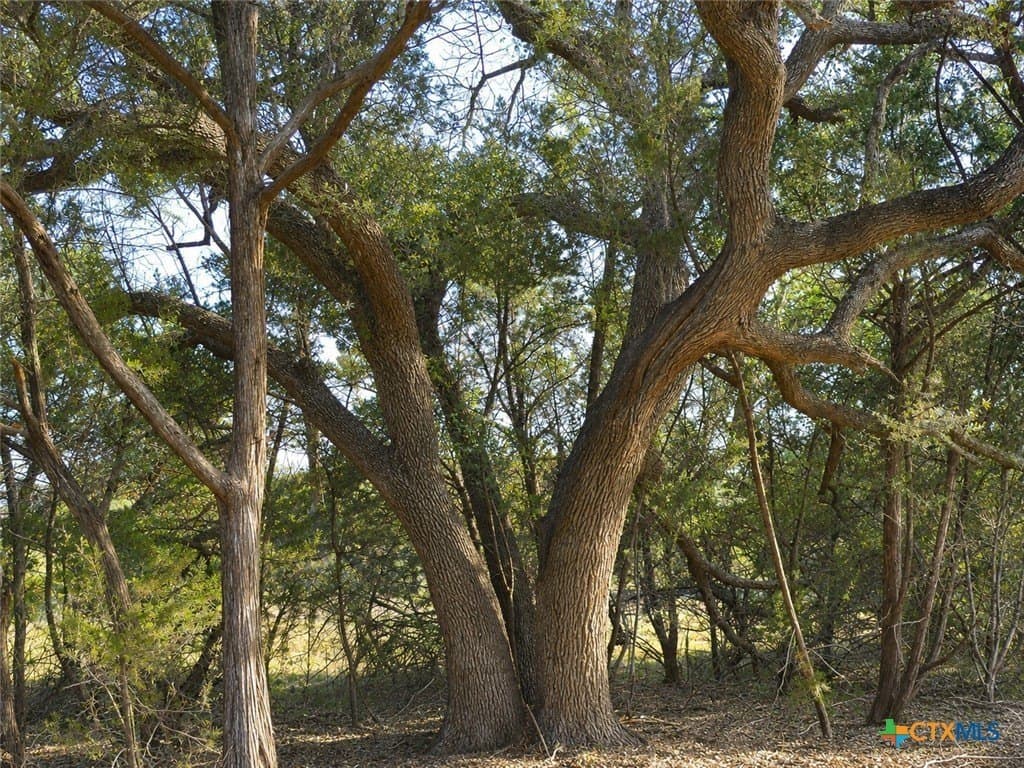 20 acres in Burnet County - photo 19