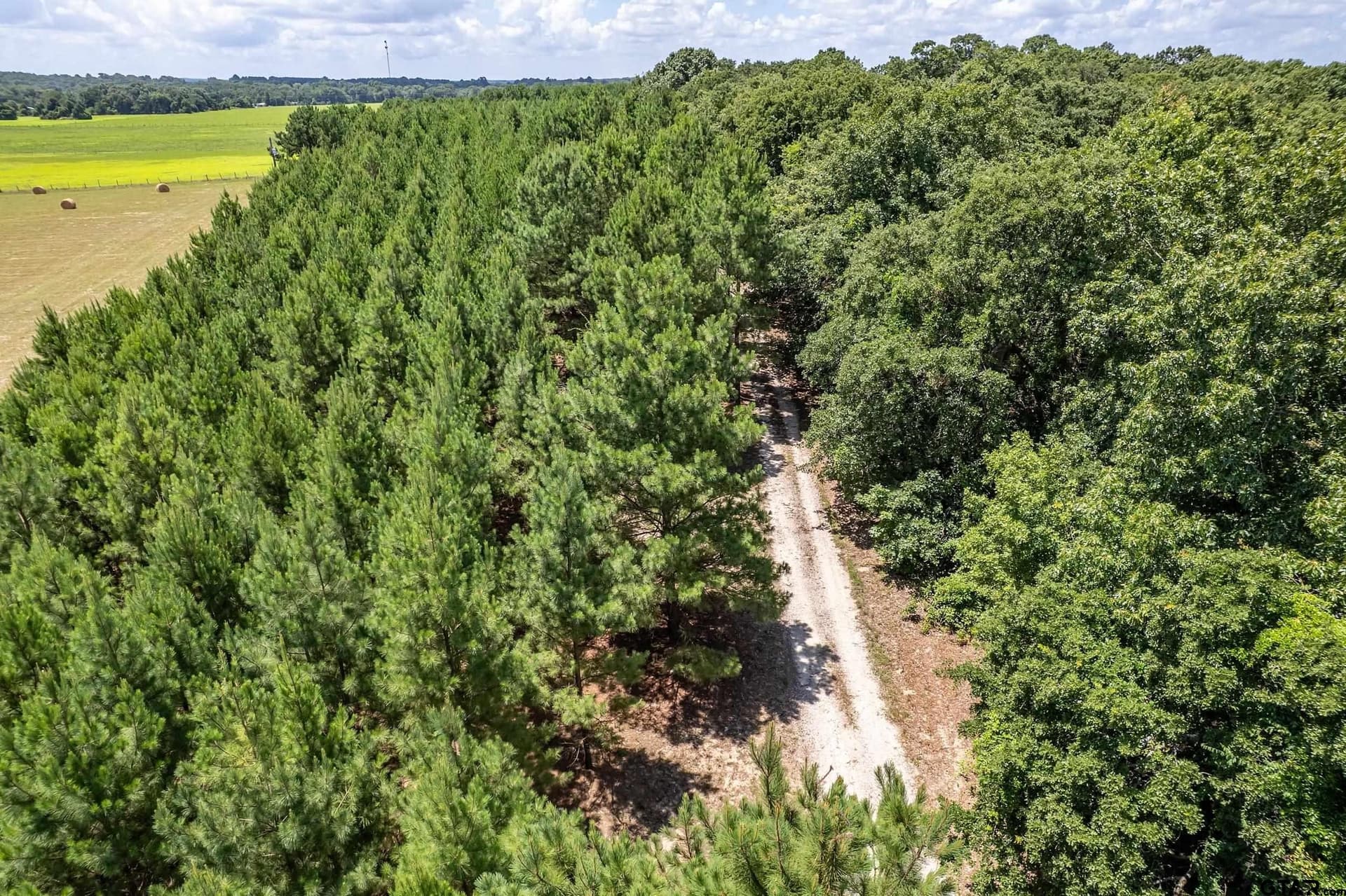 28.32 acres in Smith County featured view