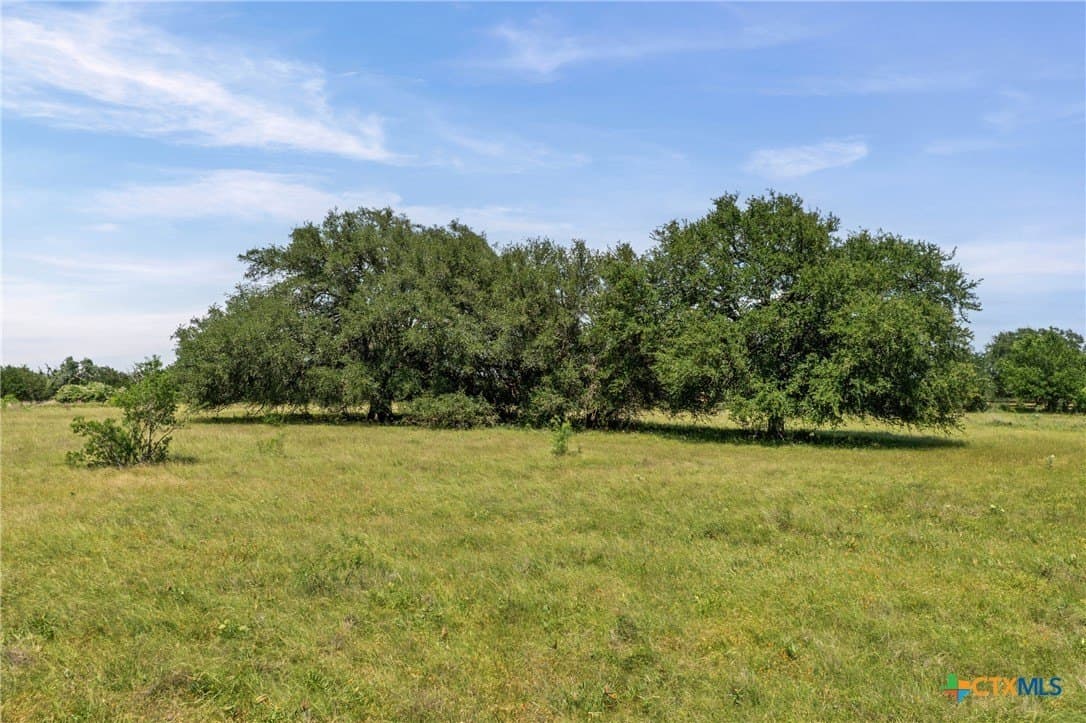 39.92 acres in Bell County - photo 28
