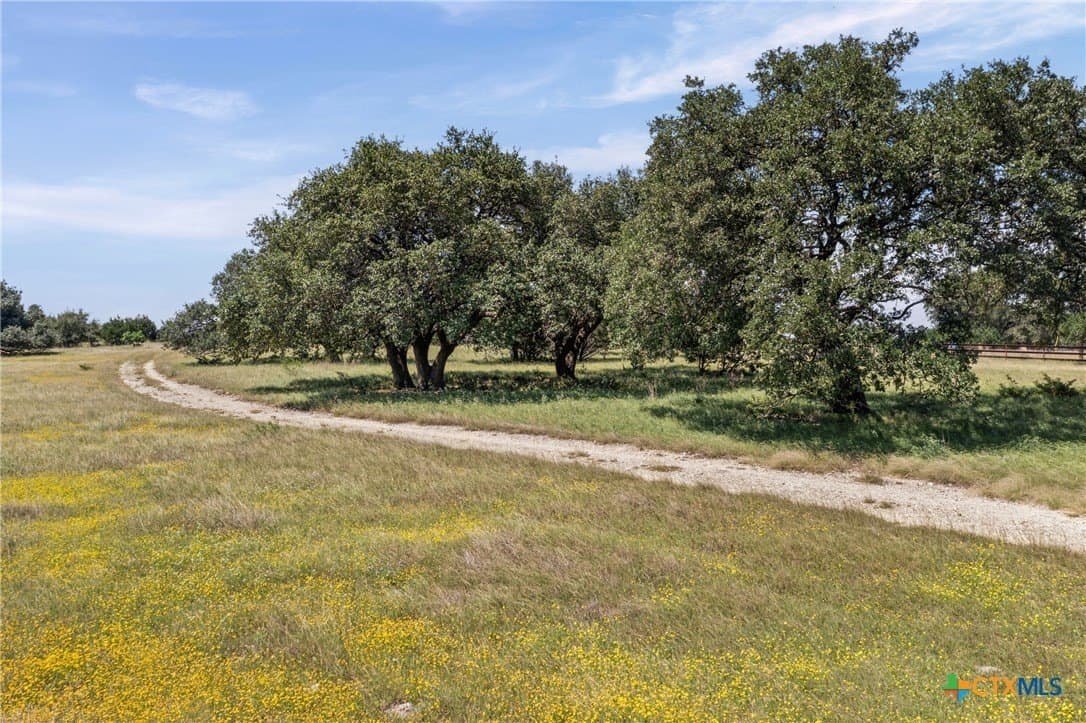 39.92 acres in Bell County - photo 25