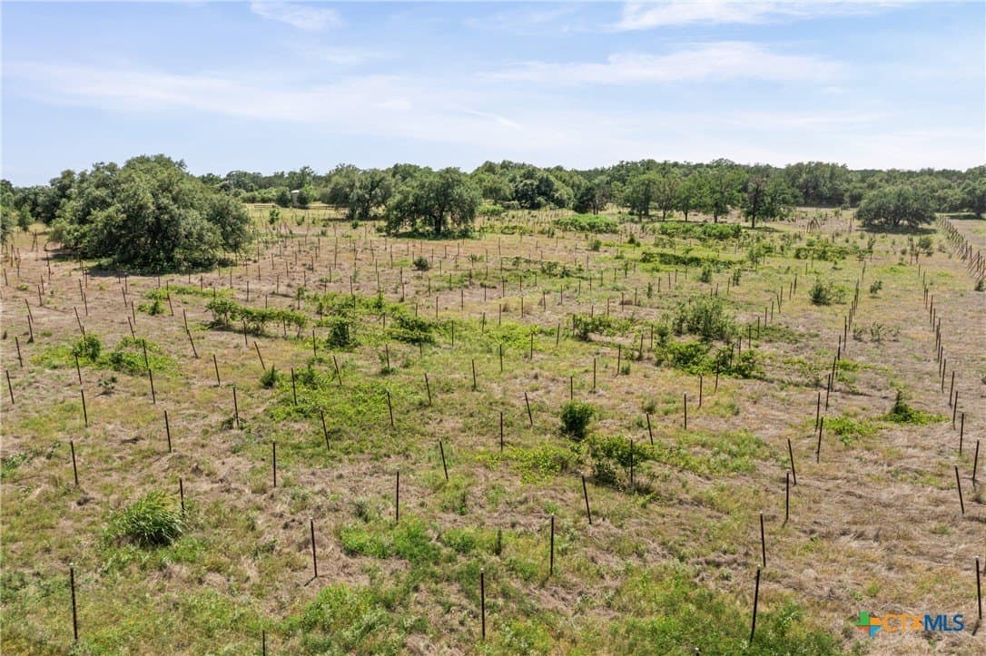 39.92 acres in Bell County - photo 30