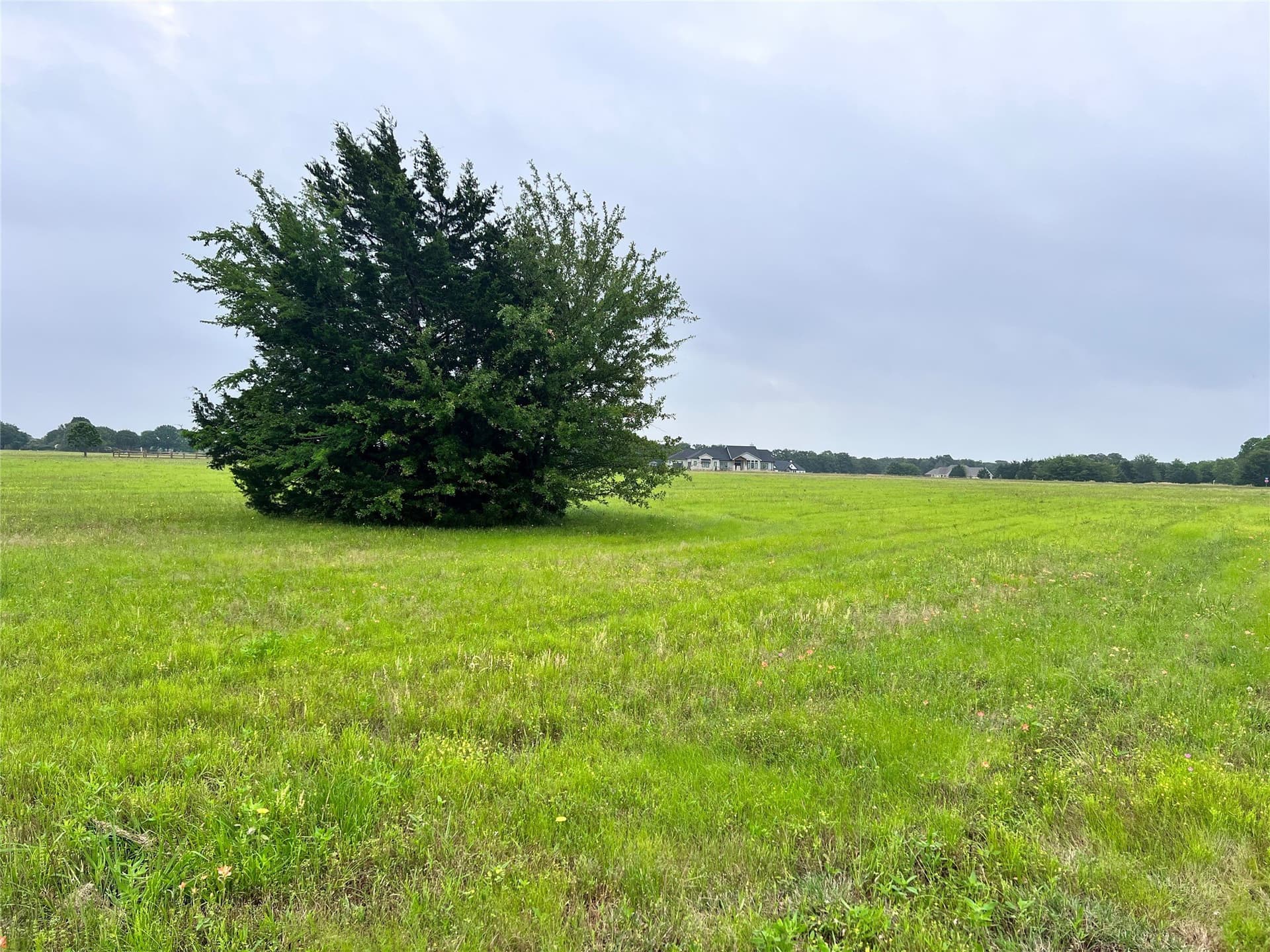 1 acres in Navarro County - photo 22