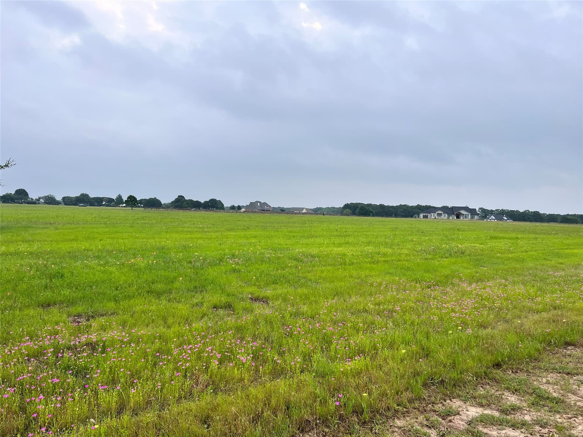 1 acres in Navarro County - photo 19