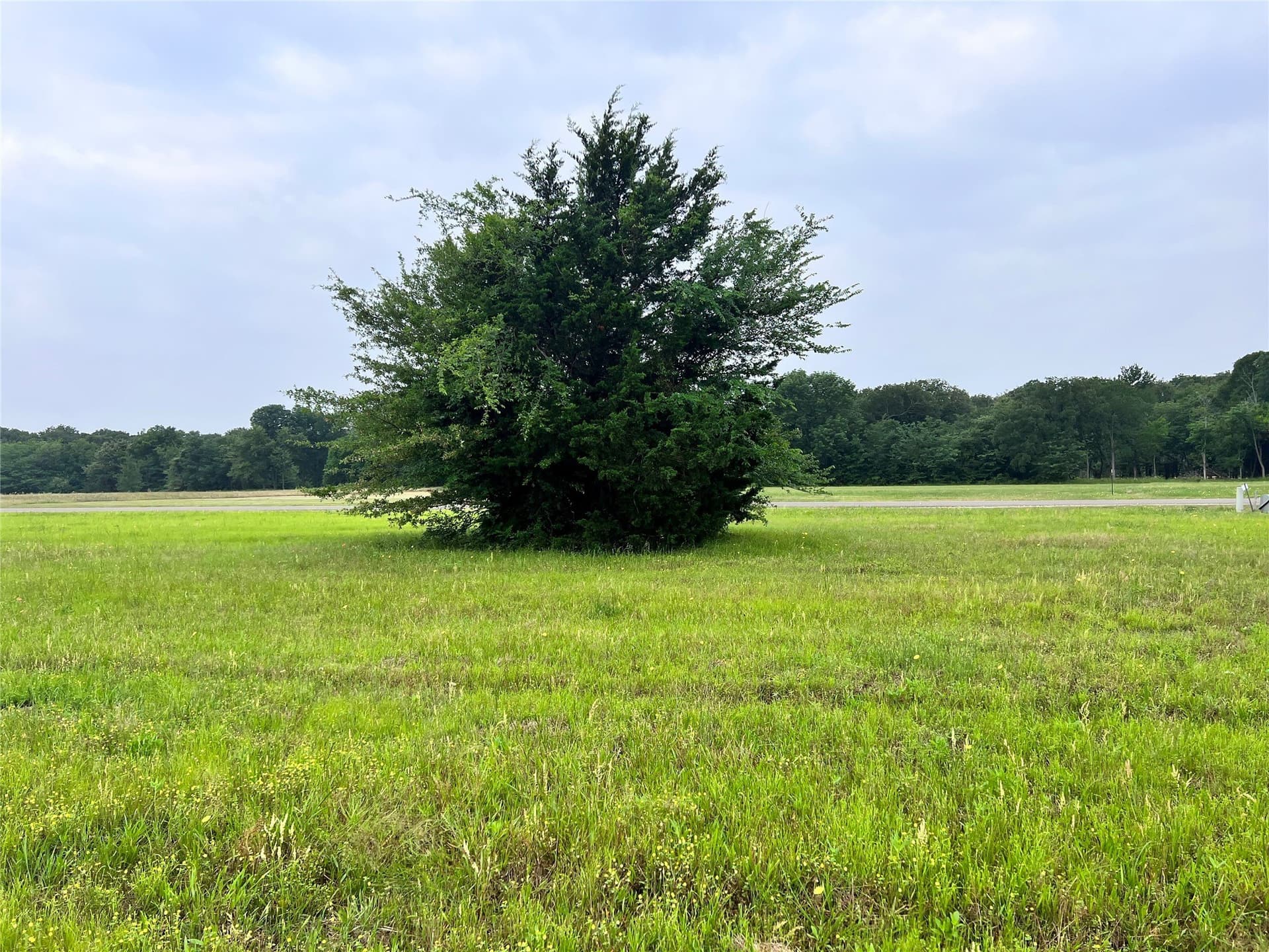 1 acres in Navarro County - photo 29