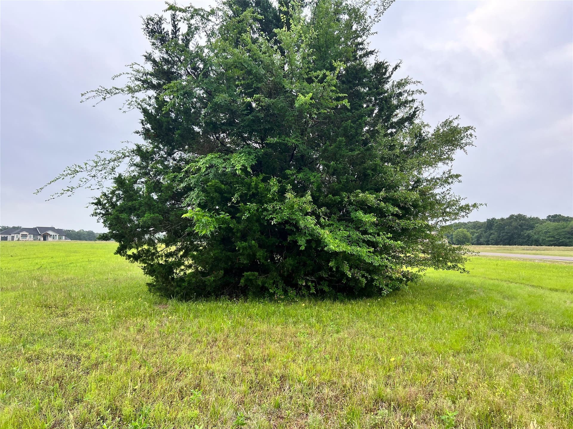 1 acres in Navarro County - photo 24