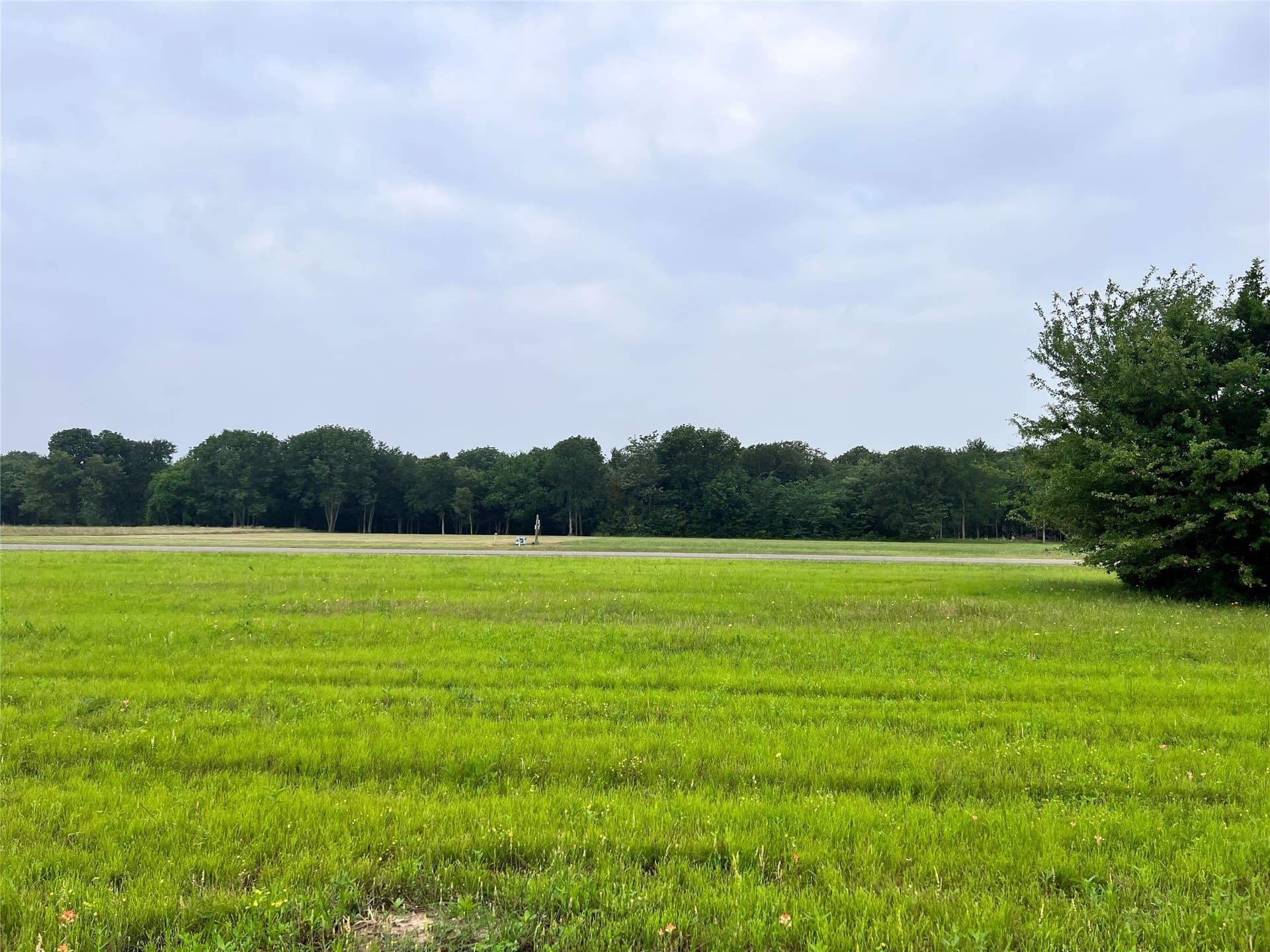 1 acres in Navarro County - photo 35