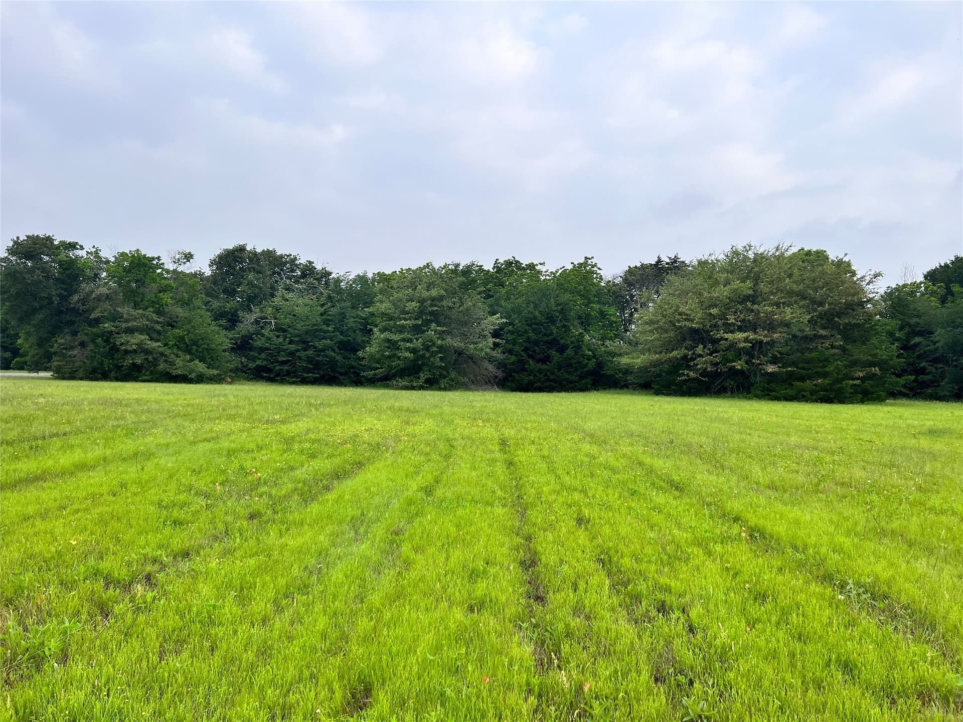 1 acres in Navarro County - photo 34