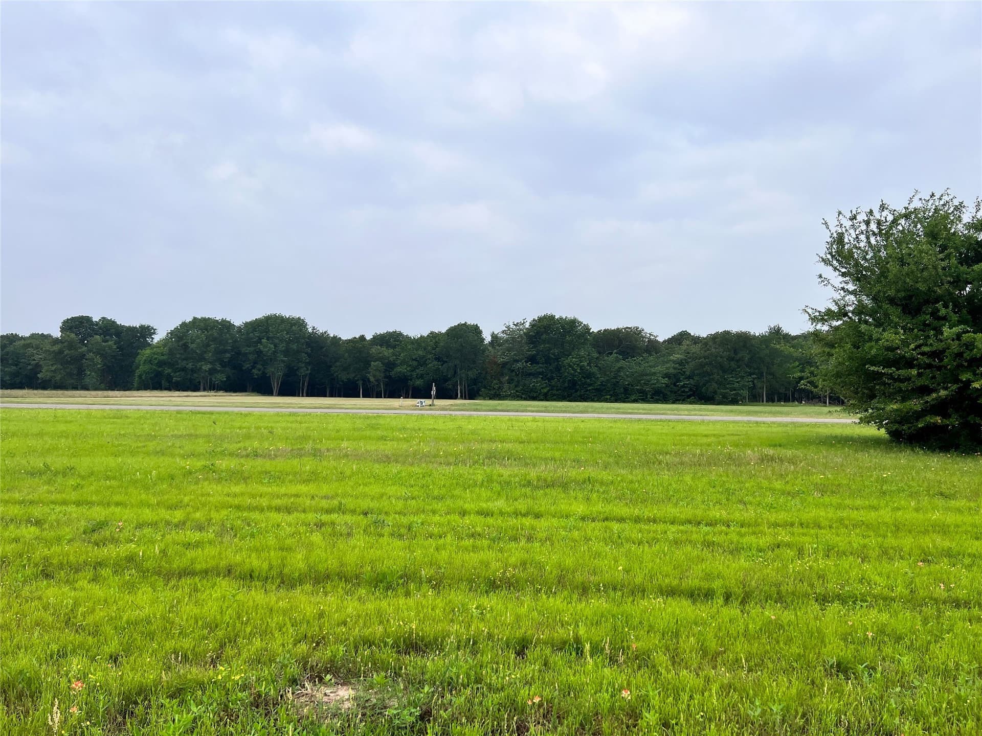 1 acres in Navarro County - photo 36