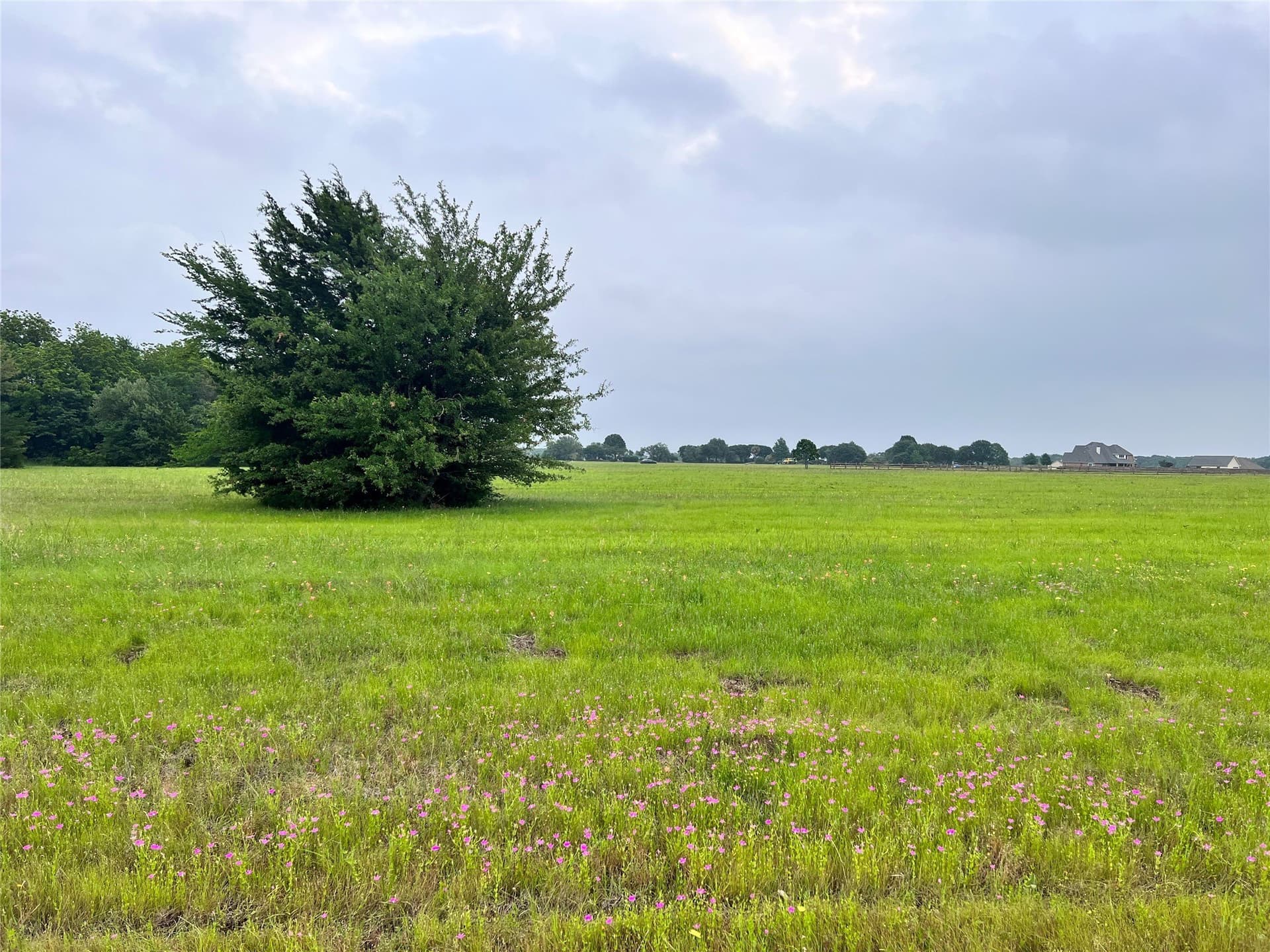 1 acres in Navarro County - photo 7