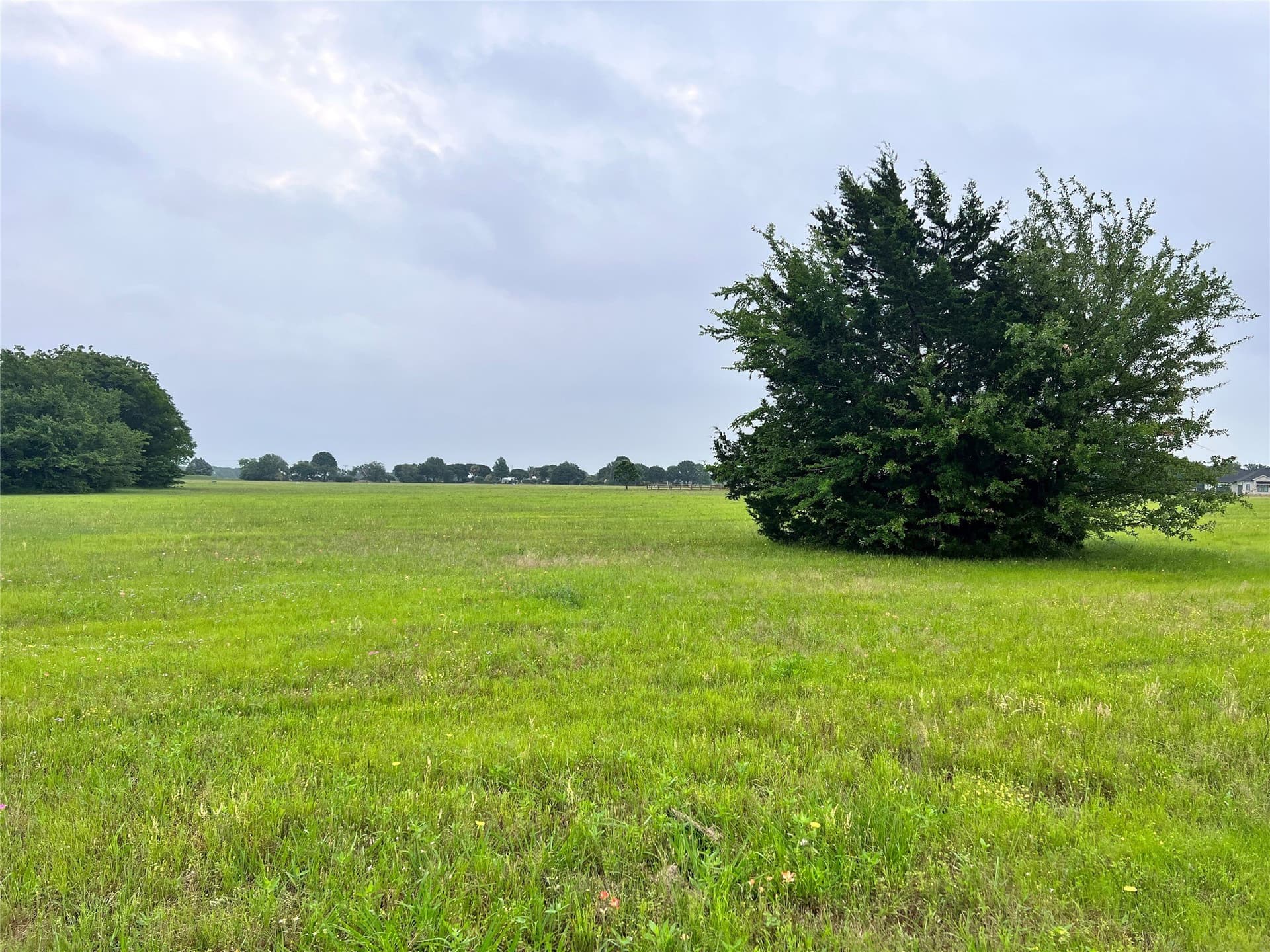 1 acres in Navarro County - photo 21