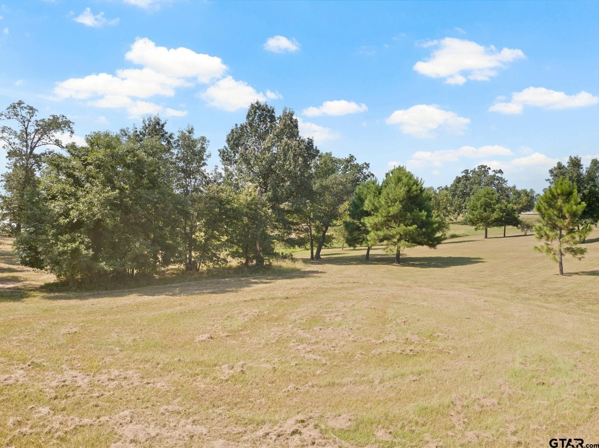1 acres in Titus County - photo 6