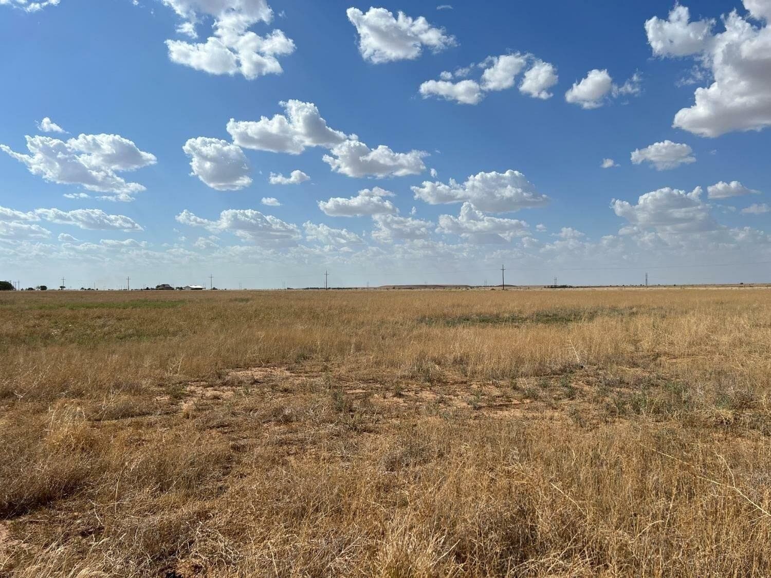 10.01 acres in Hale County