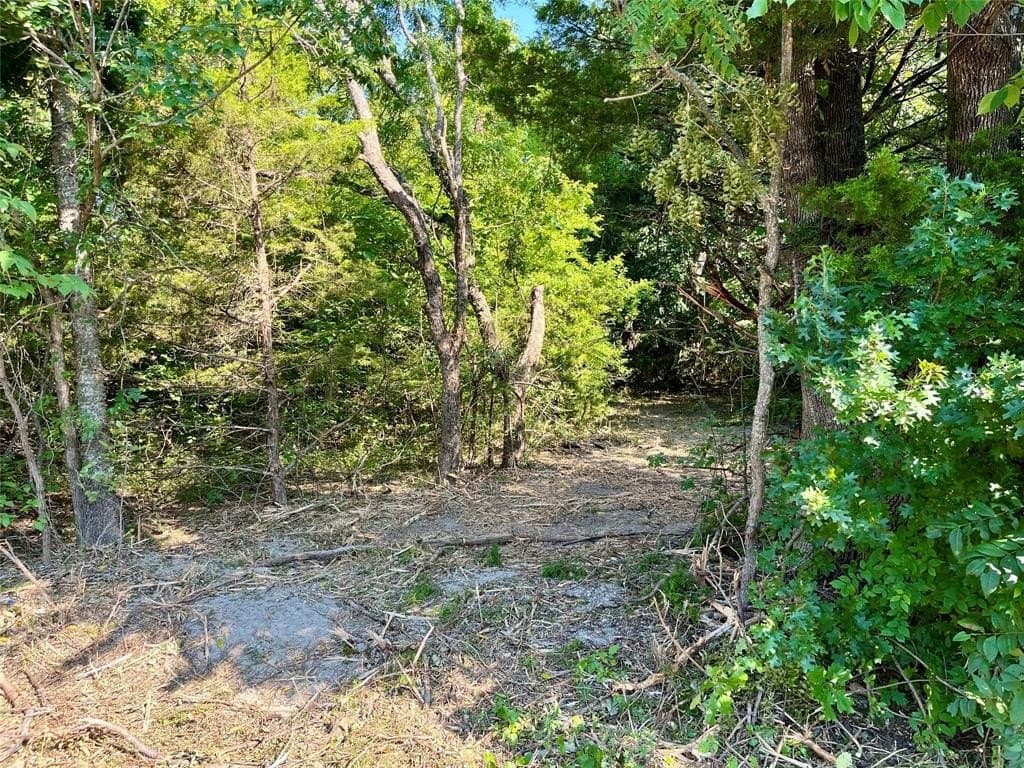 16.5 acres in Grayson County featured view