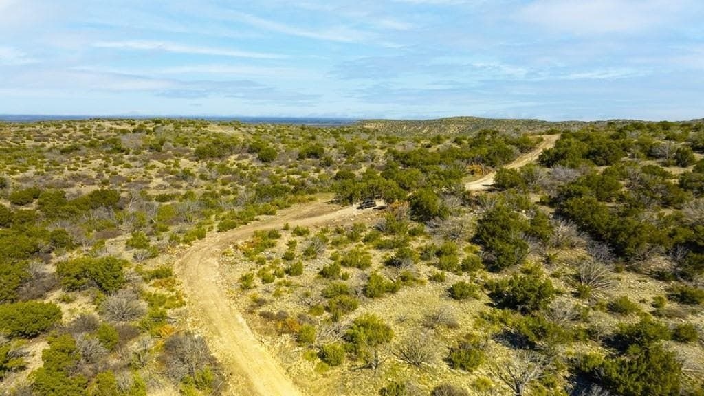 560 acres in Coke County featured view