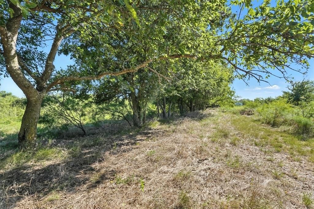 27.5 acres in Johnson County gallery image 4