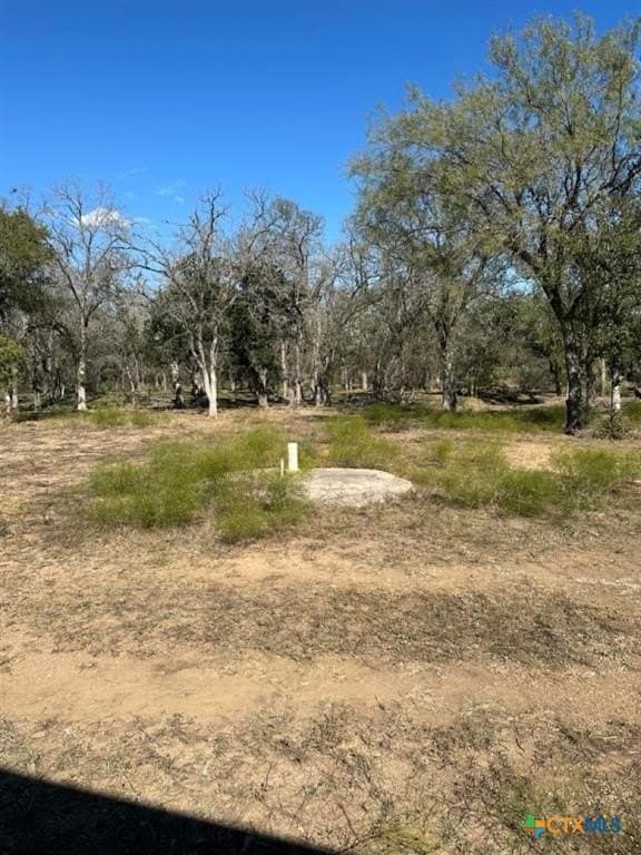 13.37 acres in Burnet County gallery image 3