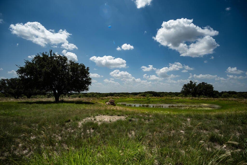 135 acres in Schleicher County - photo 5
