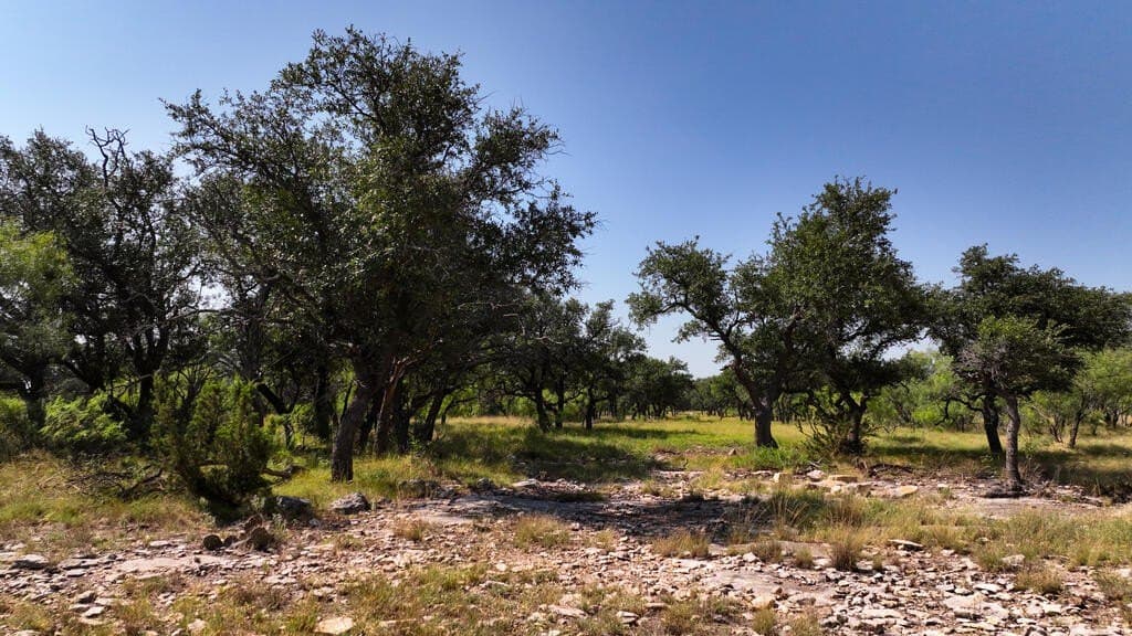 135 acres in Schleicher County - photo 23